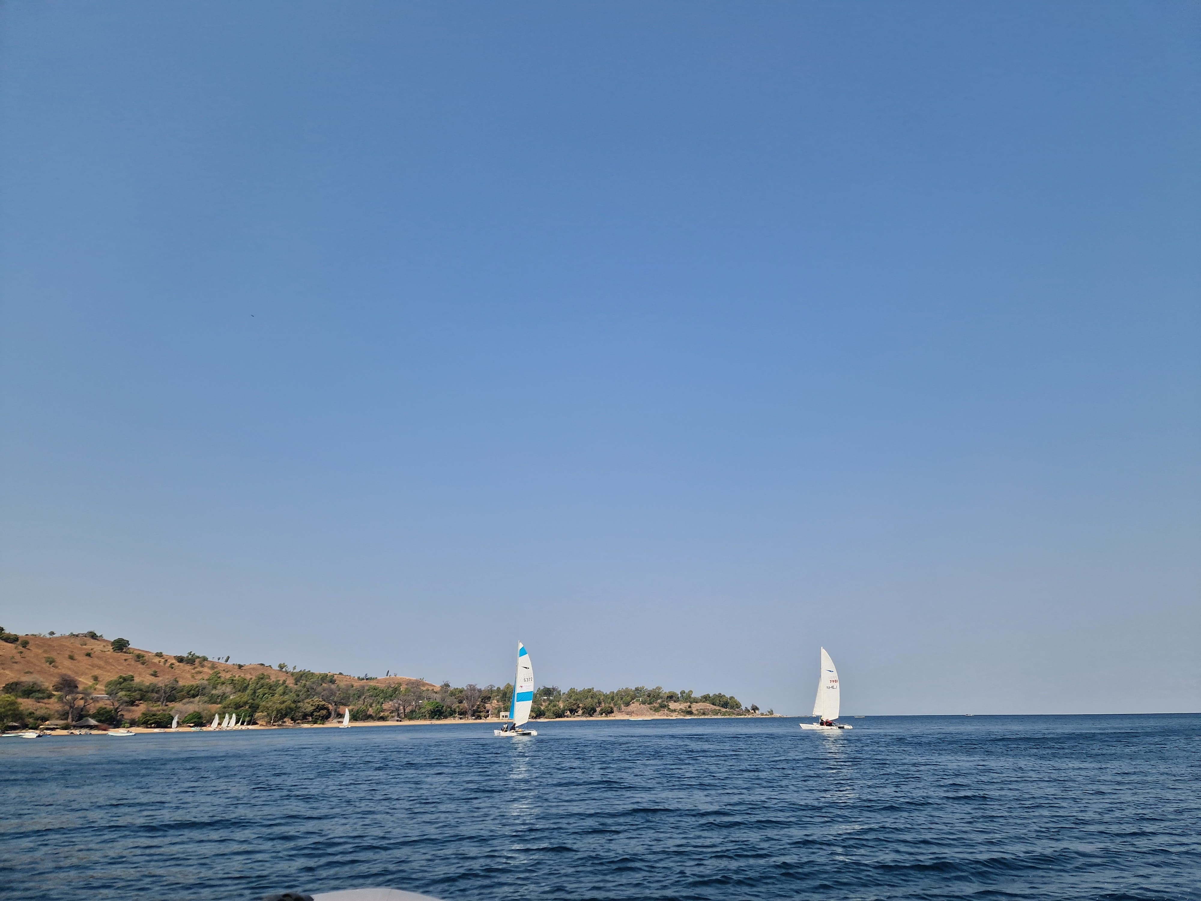 Day 4 Image 5