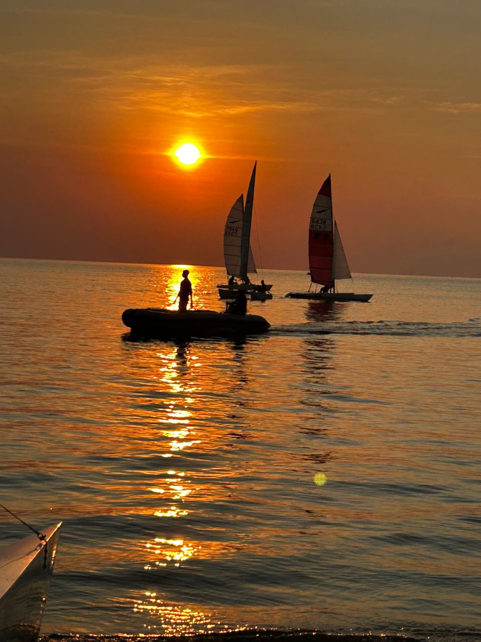Sun-Kissed Sails